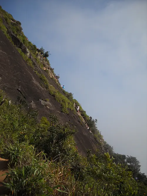 Trecho da Carrasqueira na Pedra da Gávea