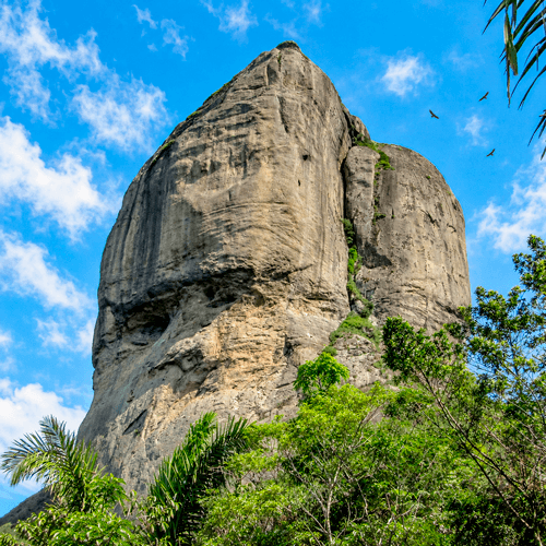 Cabeça do Imperador
